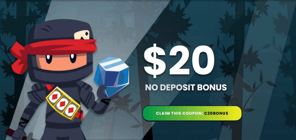 Slots Ninja Casino $20 No Deposit Bonus code